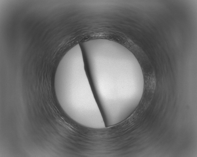 X0000052630557200507011036