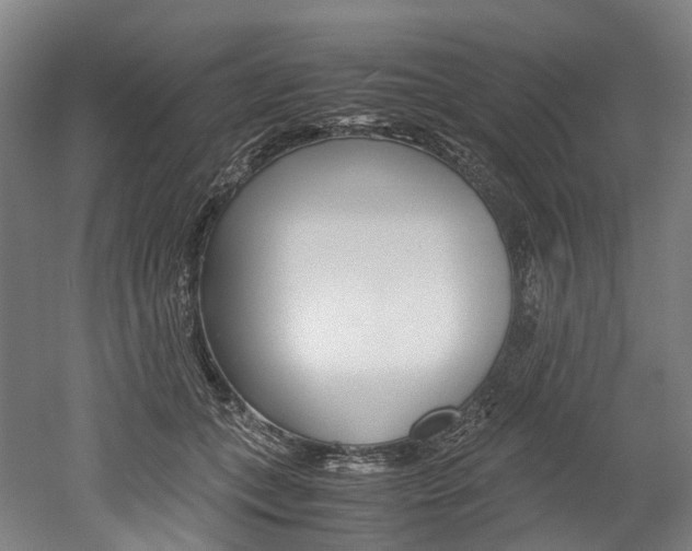 X0000052630559200507011036