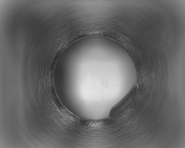 X0000052630560200507011036