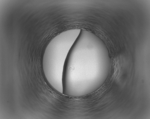 X0000052630561200507011036