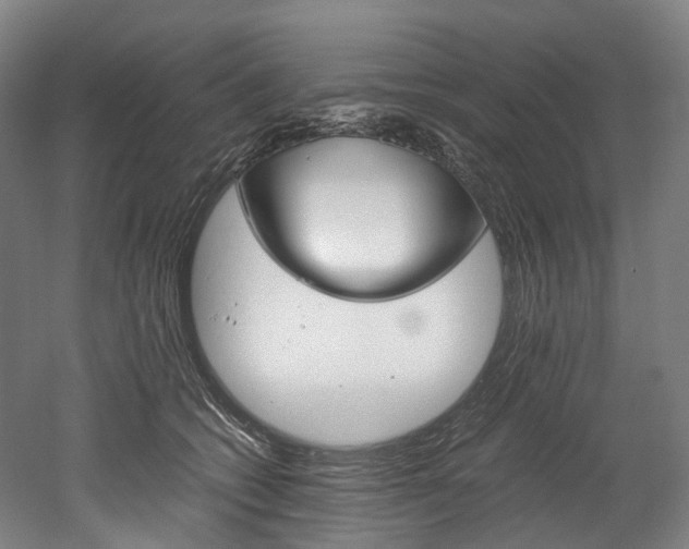 X0000052630562200507011036
