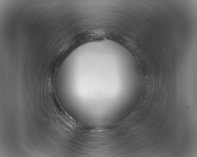 X0000052630564200507011036