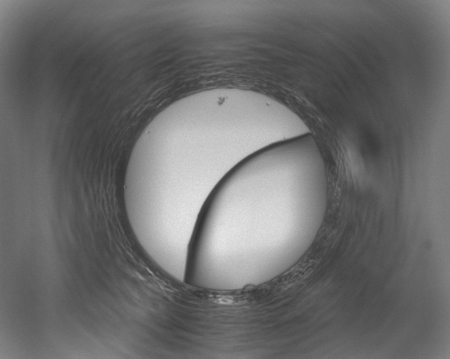 X0000052630565200507011036