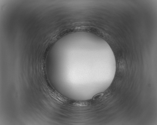 X0000052630567200507011036