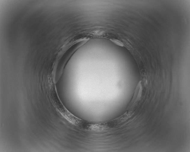 X0000052630568200507011037
