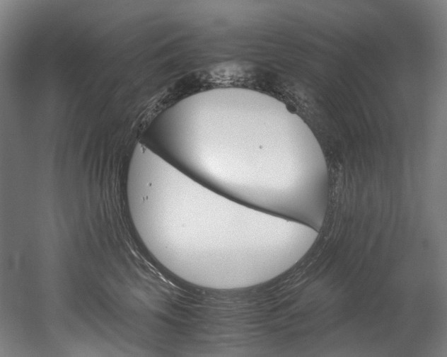 X0000052630569200507011037