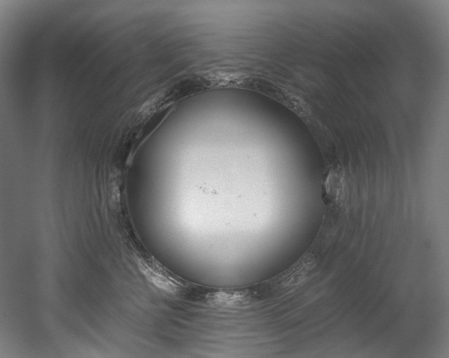 X0000052630570200507011037