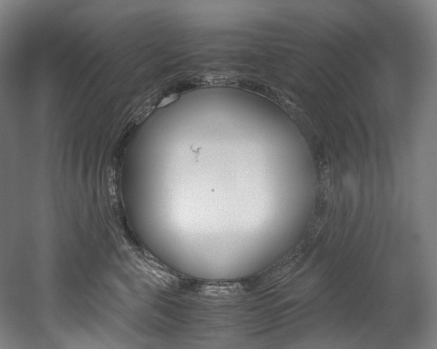 X0000052630571200507011037