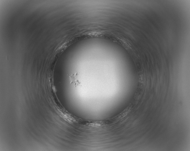 X0000052630572200507011037