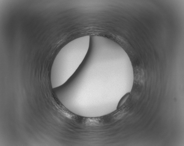 X0000052630573200507011037