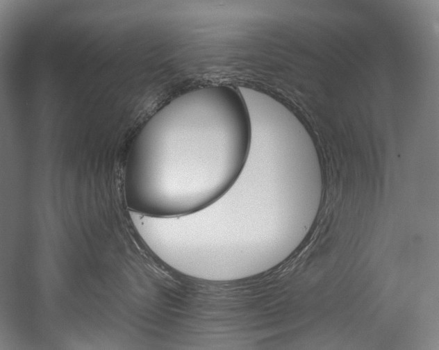 X0000052630576200507011037