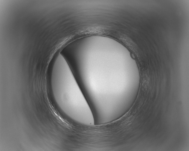 X0000052630578200507011036