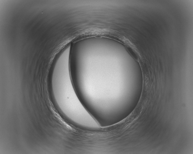 X0000052630581200507011036