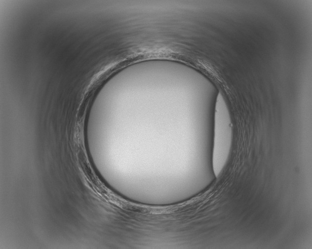 X0000052630583200507011036