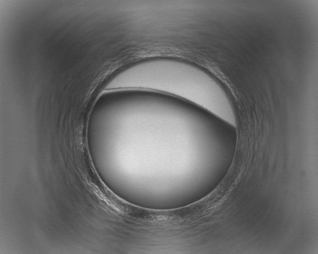 X0000052630585200507011036