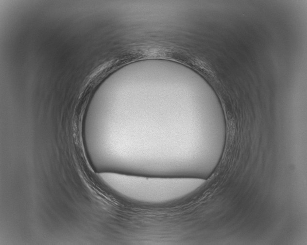 X0000052630587200507011036