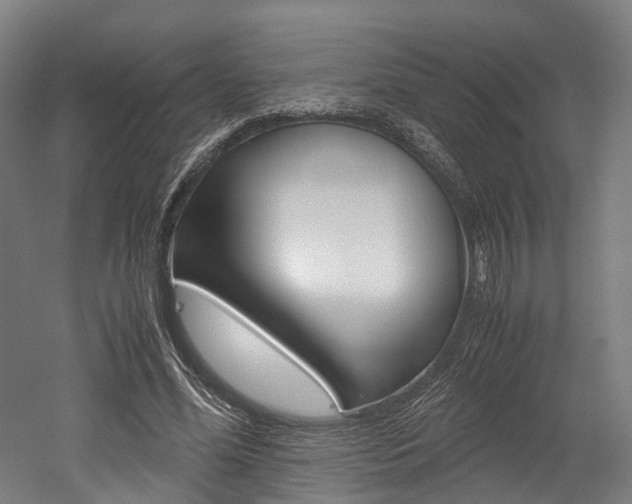 X0000052630588200507011036
