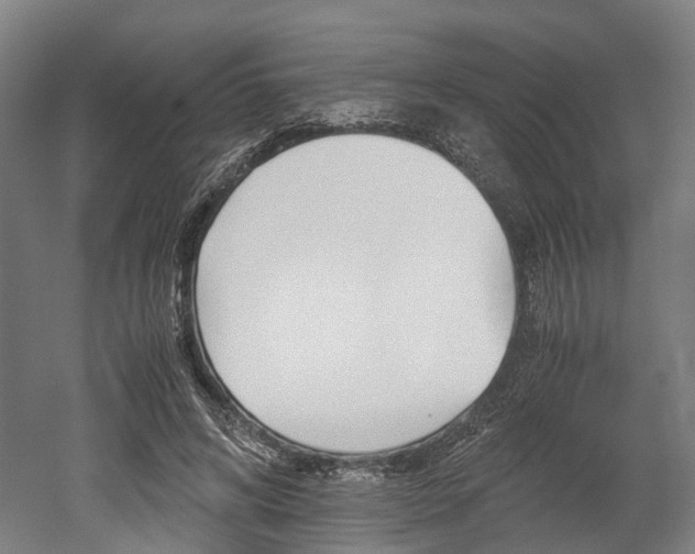 X0000052630592200507011036