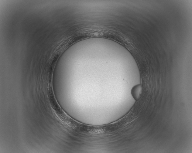 X0000052630594200507011036