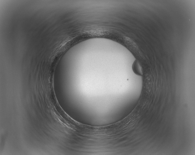 X0000052630596200507011036