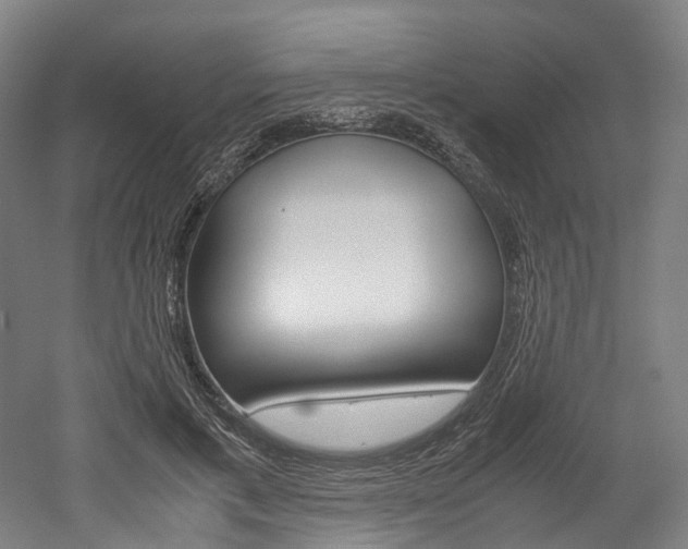 X0000052630597200507011035