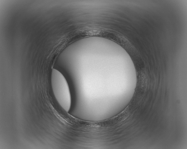 X0000052630598200507011035