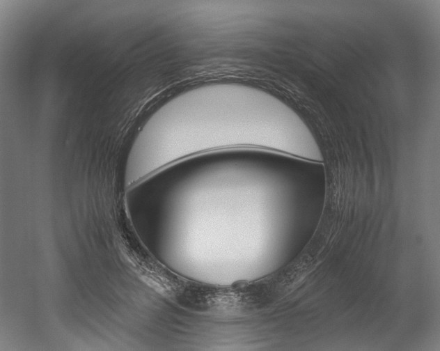 X0000052630600200507011035
