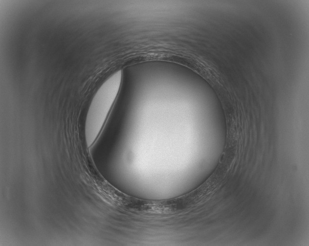 X0000052630601200507011035