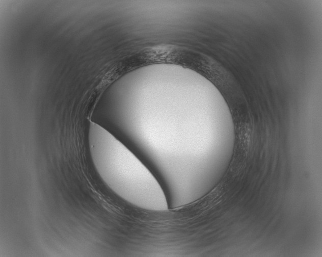 X0000052630602200507011035