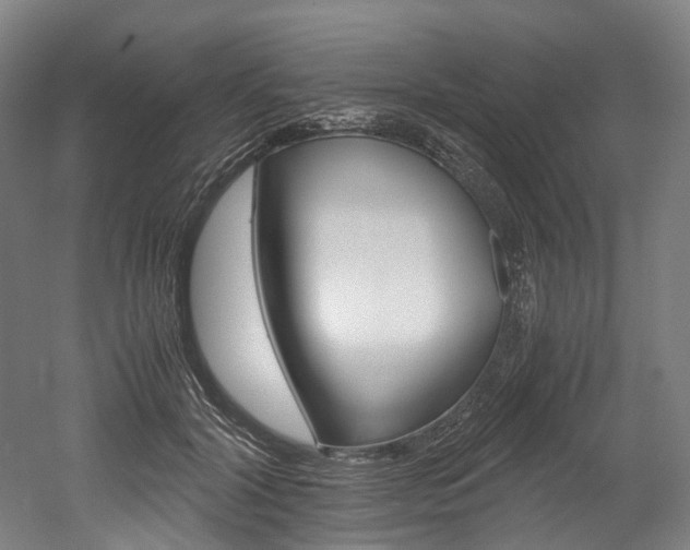 X0000052630604200507011035