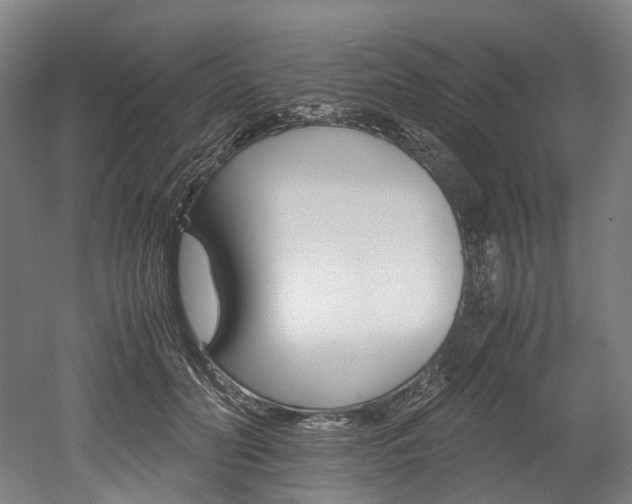 X0000052630606200507011035