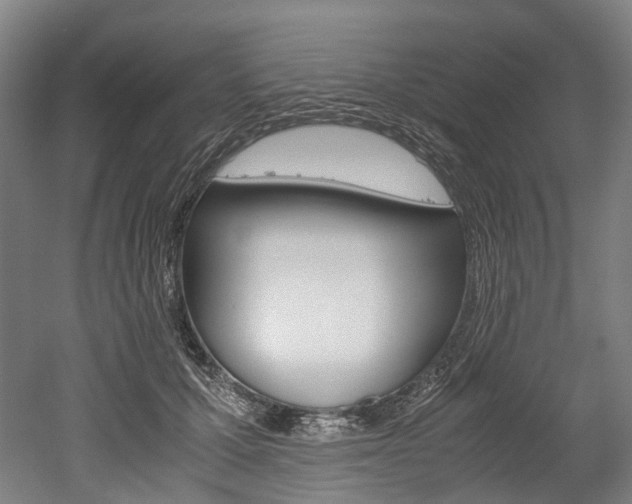X0000052630607200507011035