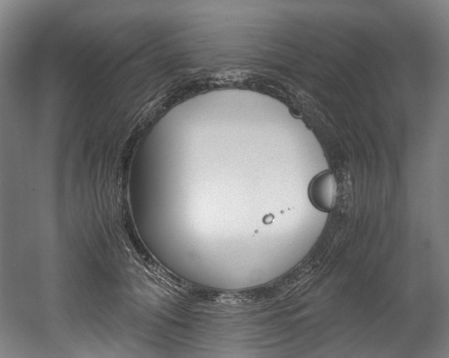 X0000052630608200507011035