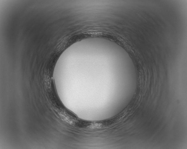 X0000052630609200507011035