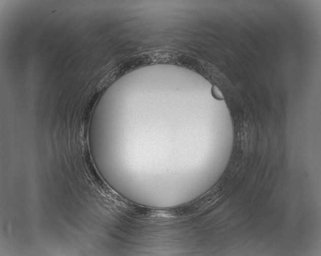 X0000052630610200507011035