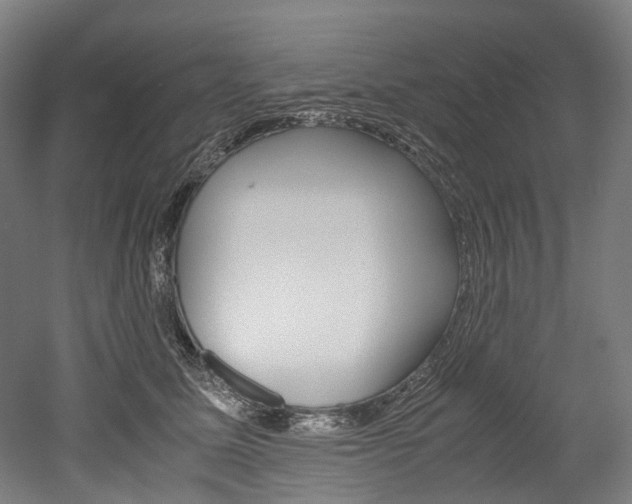 X0000052630611200507011035