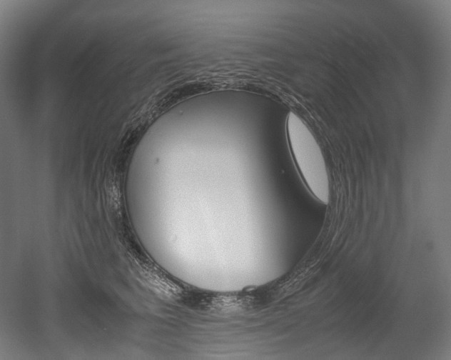 X0000052630613200507011035