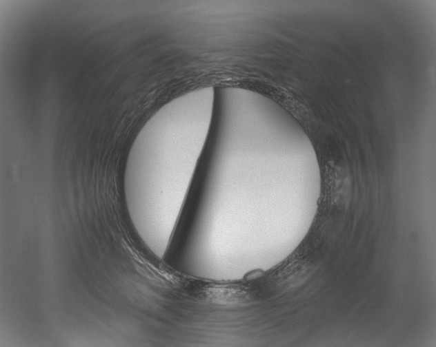 X0000052630614200507011035