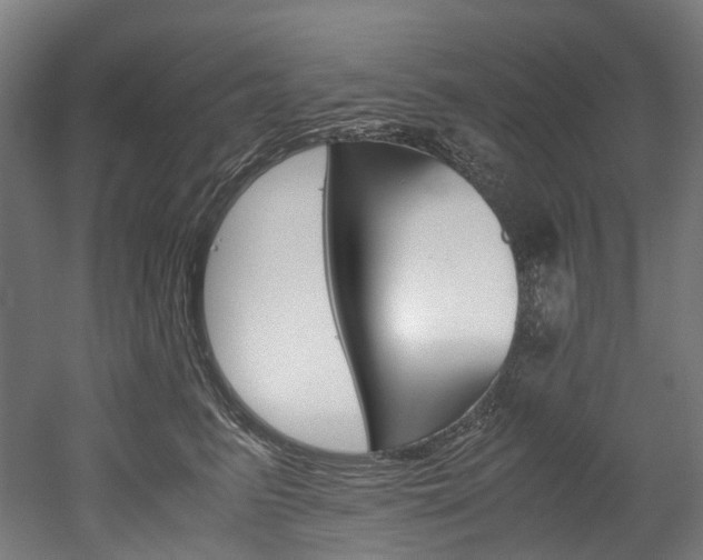 X0000052630615200507011035