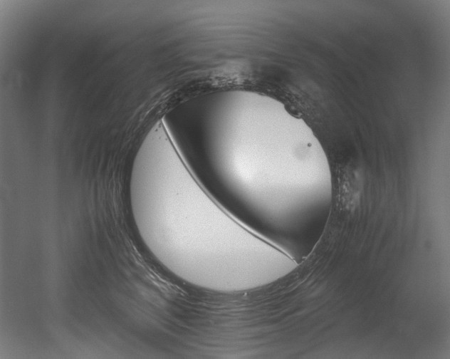 X0000052630616200507011035
