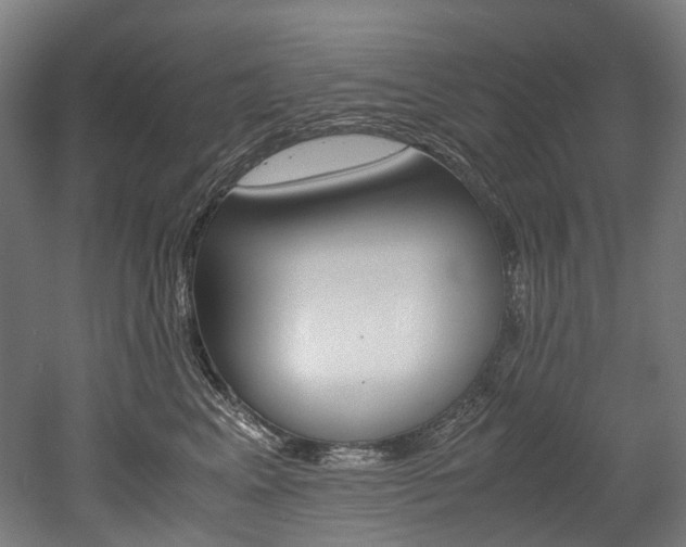 X0000052630617200507011035