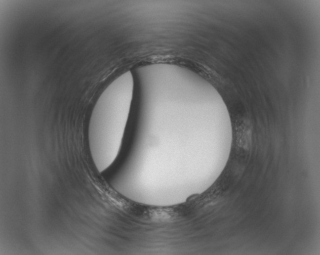 X0000052630618200507011035