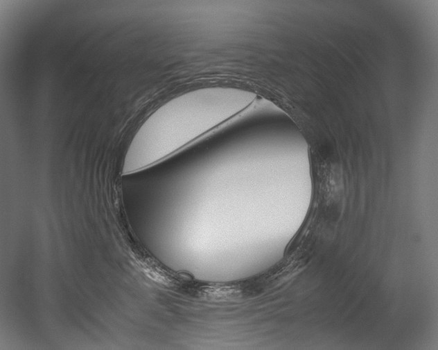 X0000052630619200507011035