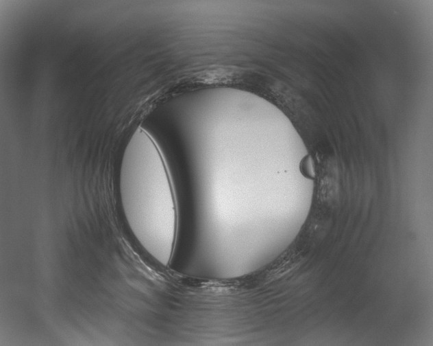 X0000052630620200507011035