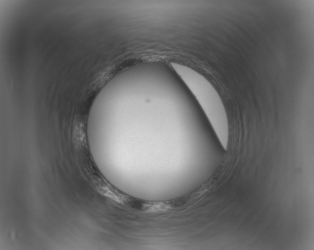 X0000052630621200507011035