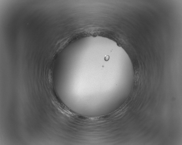X0000052630623200507011035