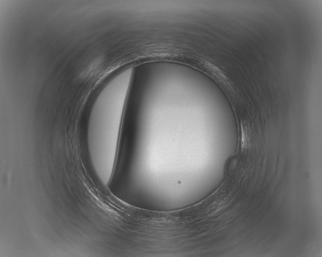 X0000052630627200507011034