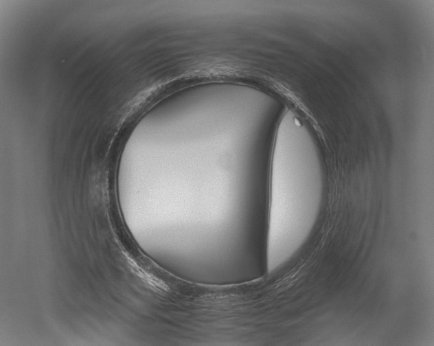 X0000052630629200507011034