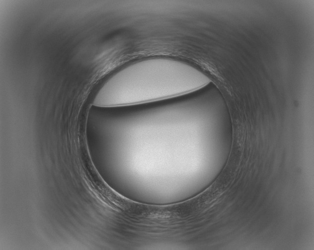 X0000052630631200507011034