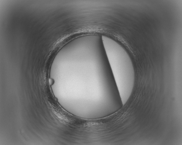 X0000052630636200507011034